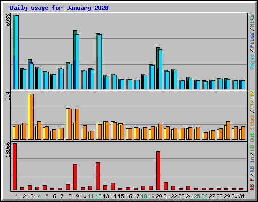Daily usage for January 2020