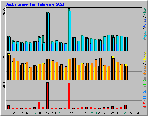Daily usage for February 2021