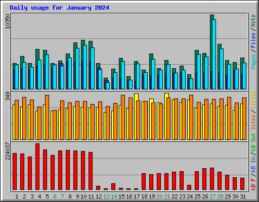 Daily usage for January 2024