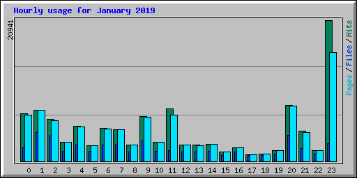 Hourly usage for January 2019