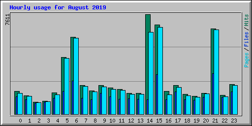 Hourly usage for August 2019