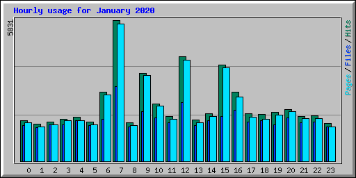 Hourly usage for January 2020