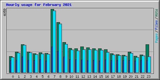 Hourly usage for February 2021
