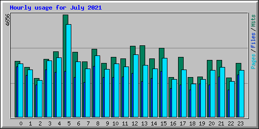 Hourly usage for July 2021