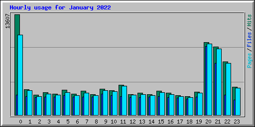 Hourly usage for January 2022