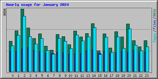 Hourly usage for January 2024