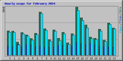 Hourly usage for February 2024