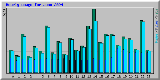 Hourly usage for June 2024