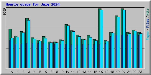 Hourly usage for July 2024