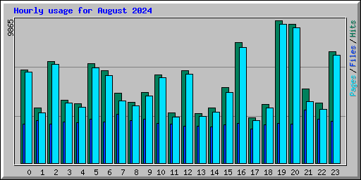Hourly usage for August 2024