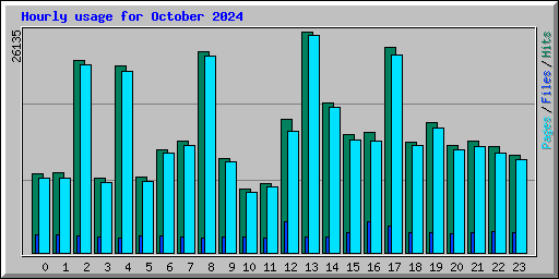 Hourly usage for October 2024