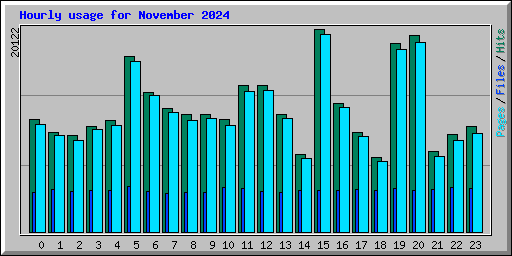 Hourly usage for November 2024