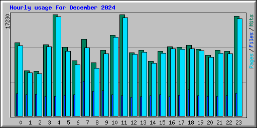 Hourly usage for December 2024