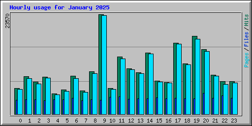 Hourly usage for January 2025