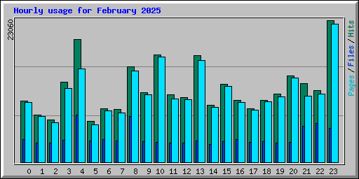 Hourly usage for February 2025