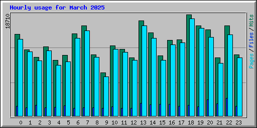 Hourly usage for March 2025