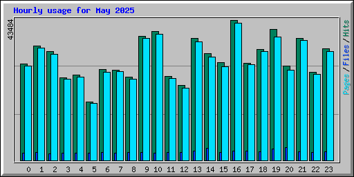 Hourly usage for May 2025