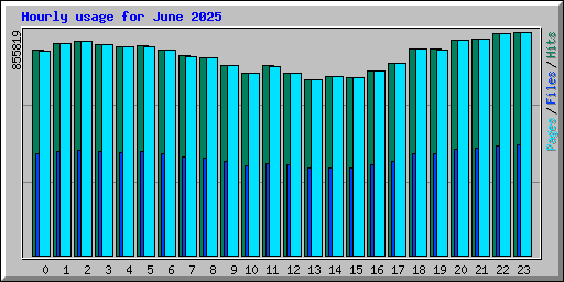 Hourly usage for June 2025