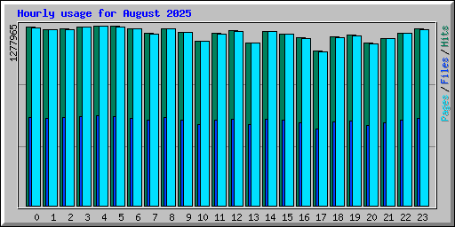 Hourly usage for August 2025