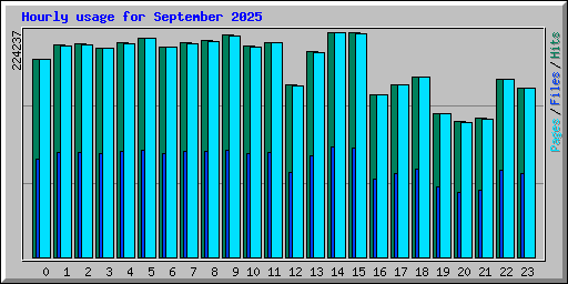 Hourly usage for September 2025