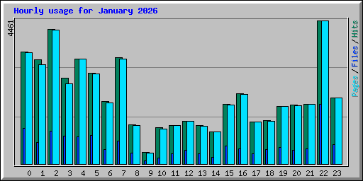 Hourly usage for January 2026
