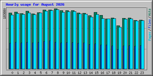 Hourly usage for August 2026